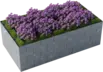 Vyvýšený záhon
