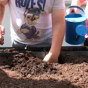 Sázení semínek ve školce Flexi Element